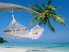 Summer wallpapers47
